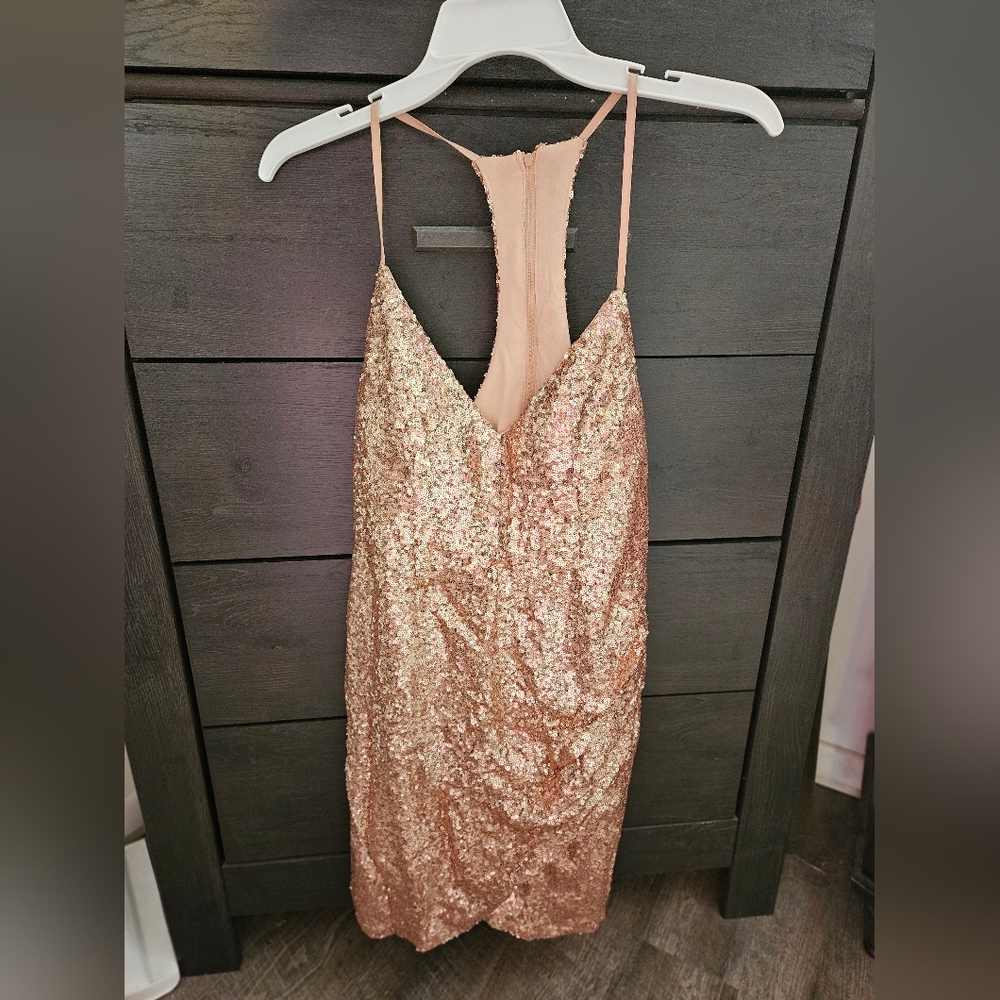 Rose sequin dress